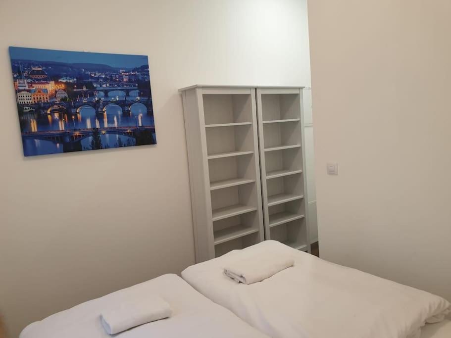 Apartament Prague Downtown Vinohrady - Next To Havlicek Park Zewnętrze zdjęcie